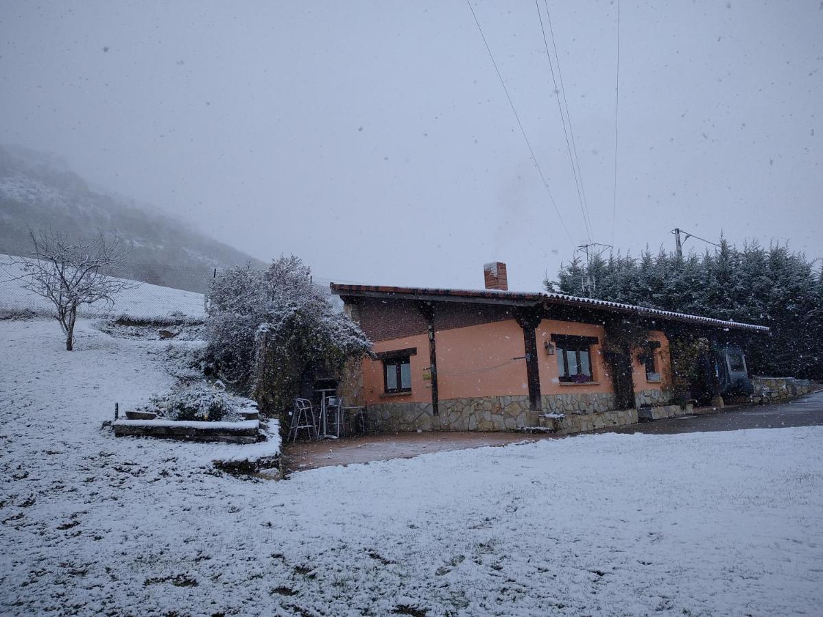 Casa Las Ninas Quintanahedo Dış mekan fotoğraf